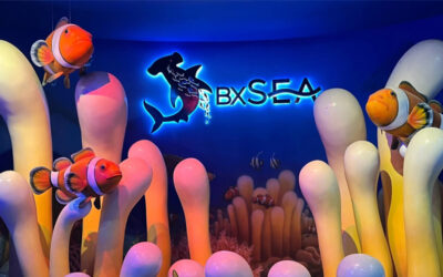 BXSea Aquarium Terbesar yang Ada di Tangerang Selatan